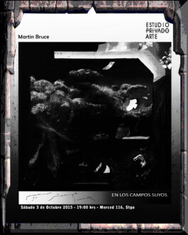 MARTÍN BRUCE