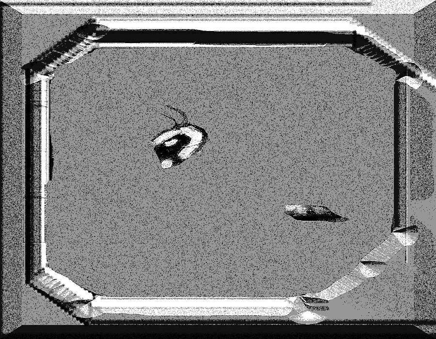 𓋼𓍊 𓆏 𓍊𓋼 martín bruce 𒈝